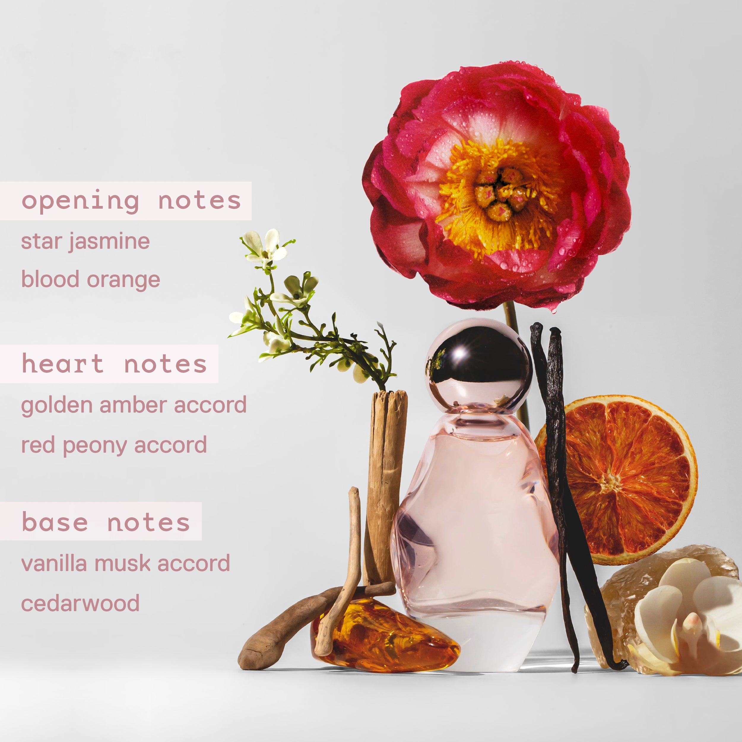 Cosmic Kylie Jenner | Fragrance | Kylie Cosmetics by Kylie Jenner