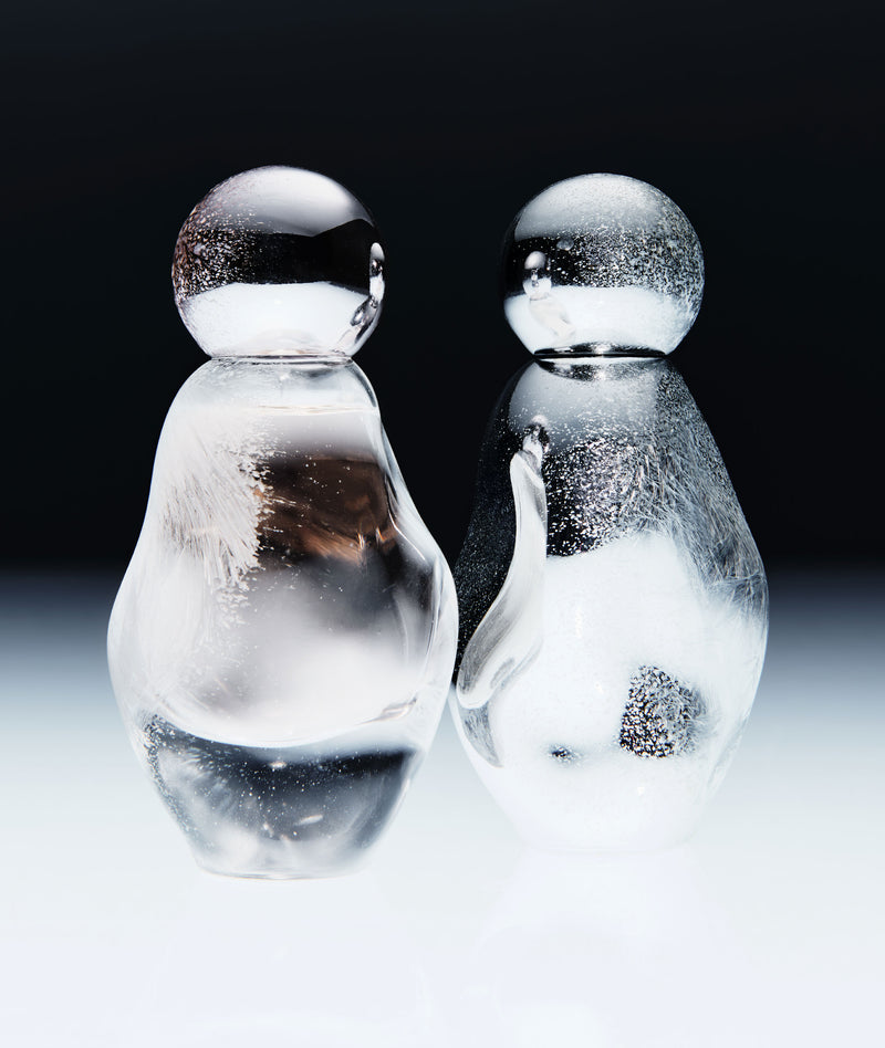 <br>the cosmic<br> universe