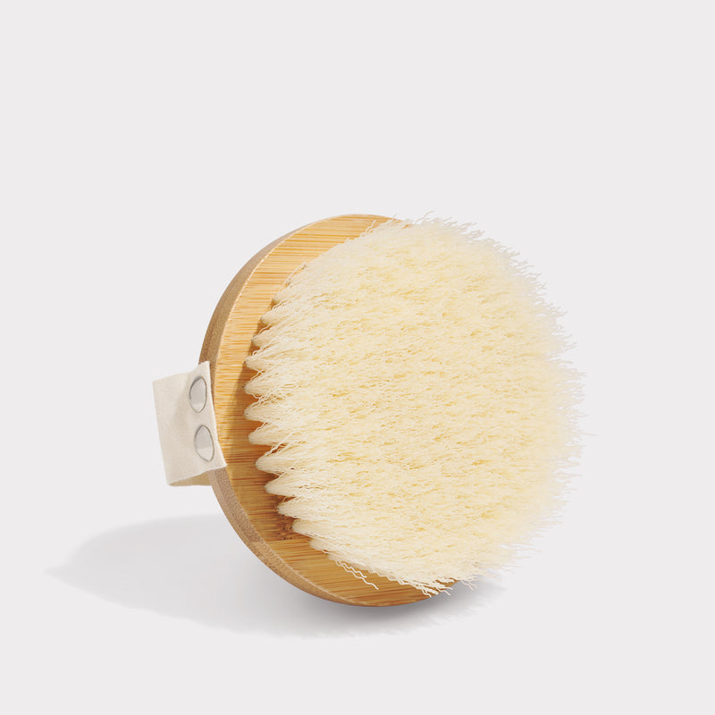 <Body Brush>|<KS380>