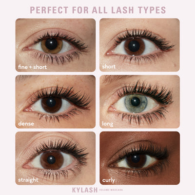 Best lash mascara on sale